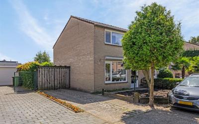 Urnenveld 12