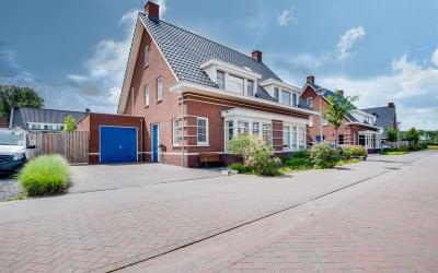 Veldleeuwerik 10