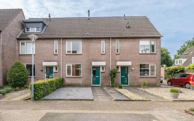 Goudrenet 3