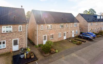 Goudrenet 43