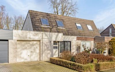 Goudrenet 36