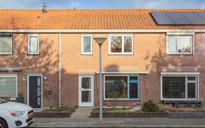 Tamboerijns. 18