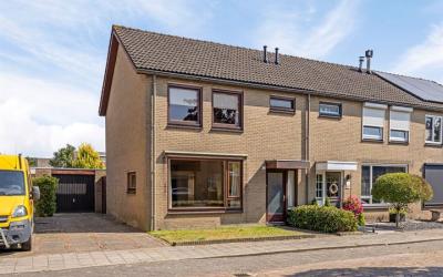 Bosveld 206