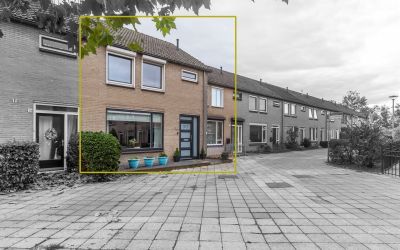 Bosveld 317