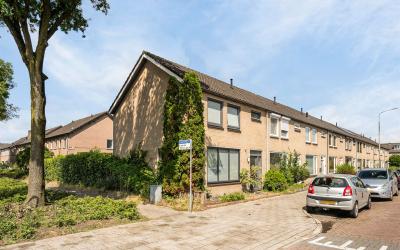 Bosveld 631