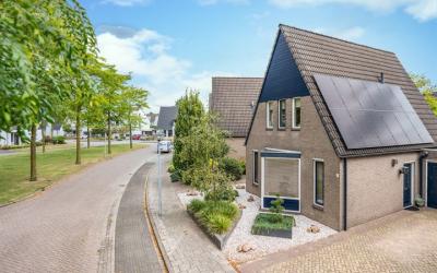 Ploegdrijve. 6