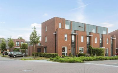 Muntmeester 491