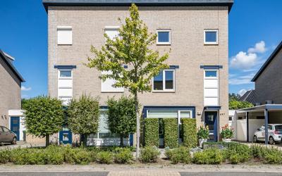 Muntmeester 497