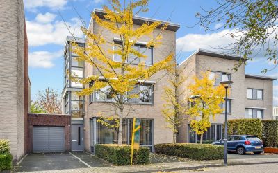 Waardijn 8