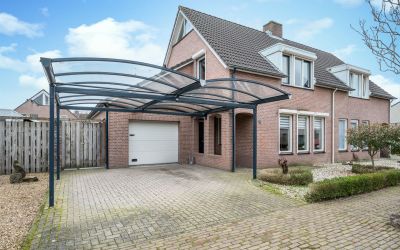 Boterbloem 5