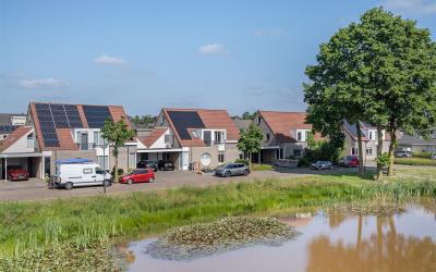 Koekoeksbloem 10