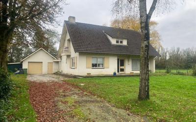 Graspeel 19-A