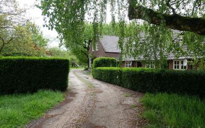 Kleine Gras. 11