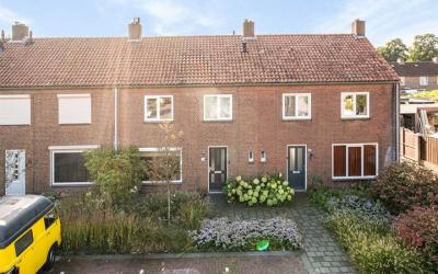 Jan van Ams. 27