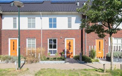 Kattestart 55