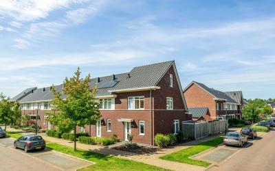Kattestart 7