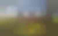 Gerele Peel 8
