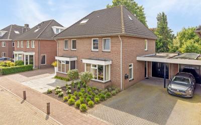 Korenbloem 10