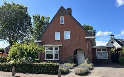 Korenbloem 5