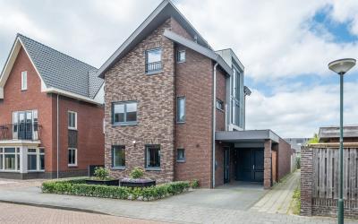 Paardebloem 21