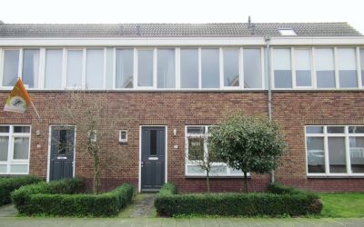 Sleutelbloem 32