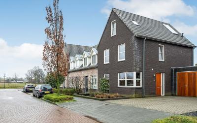Sleutelbloem 38