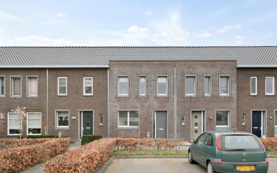 Wollegras 10