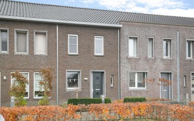Wollegras 12