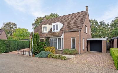 Voorstveld 42