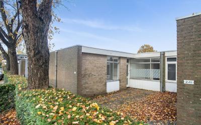 Korhoenderveld 239