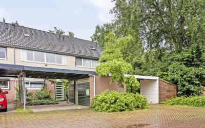 Houtsnipwal 68