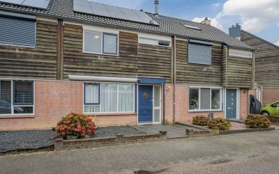 Kardinaalsmuts 105