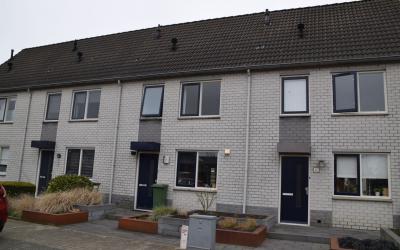 Klaver 28