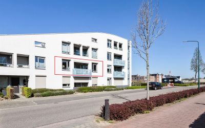 Walstro 8
