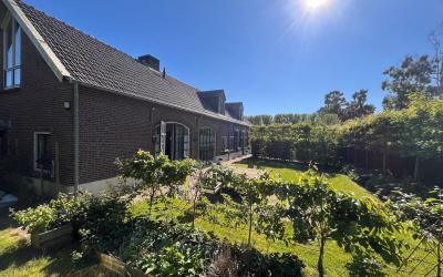 Wegedoorn 6