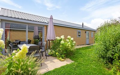Den Drul 19-R113