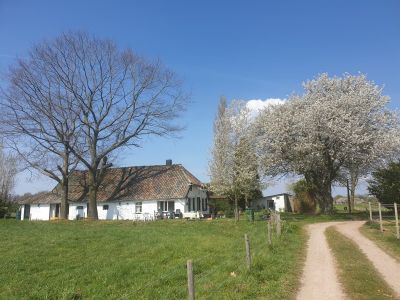 Hapseweg 5-A
