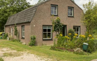 Heide 11