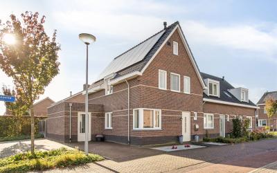 Aan de Cape. 1