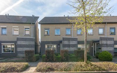 Rietven 289