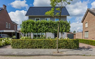 De Steenen. 17
