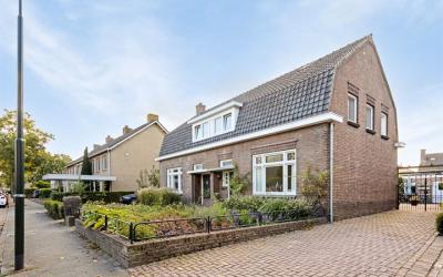 Schutsboom 15