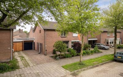 Piet Heinst. 11