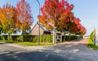 Oetelaarsestraat 35