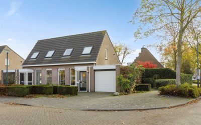 Goudenregen. 2
