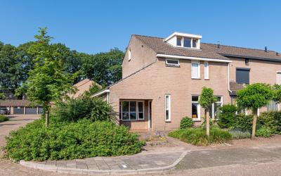 Zonnebloems. 26