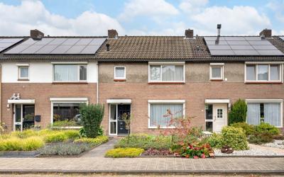 Hertog Jans. 68