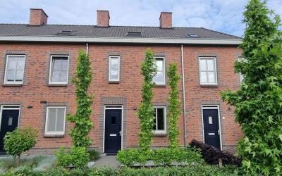 Calsstraat 13