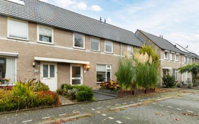 Lupinestraat 17