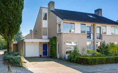 Leeuwerik 8